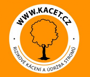 Michal Horák - rizikové kácení stromů, kácení stromů, odborná péče o stromy
