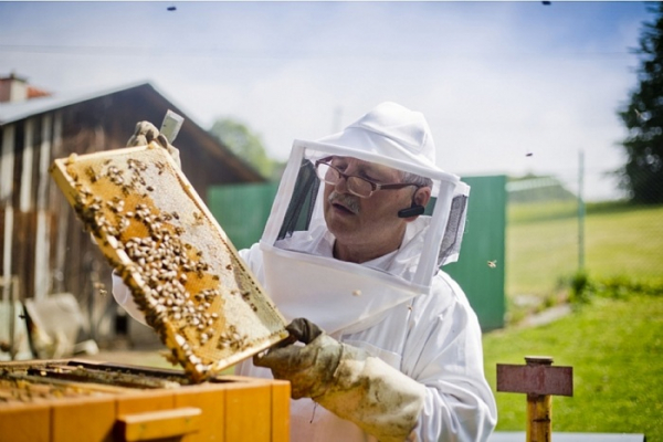 Zlínští včelaři mohou opět žádat kraj o finanční podporu