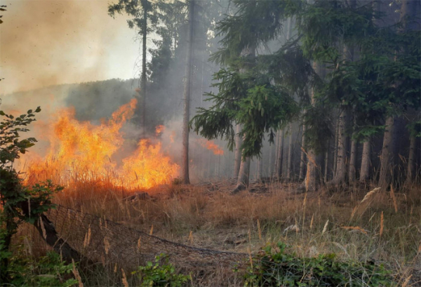 Mezi obcemi Lukoveček a Přílepy došlo k rozsáhlému požáru lesa
