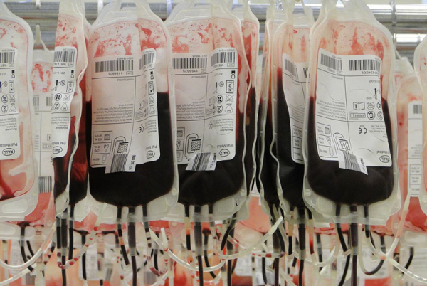 Na 14. června připadá Světový den dárců krve, VZP je odměňuje po celý rok