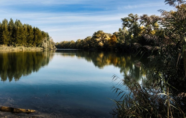 ČIŽP zamítá žádost o uložení nápravných opatření ohledně ekologické újmy na řece Bečvě